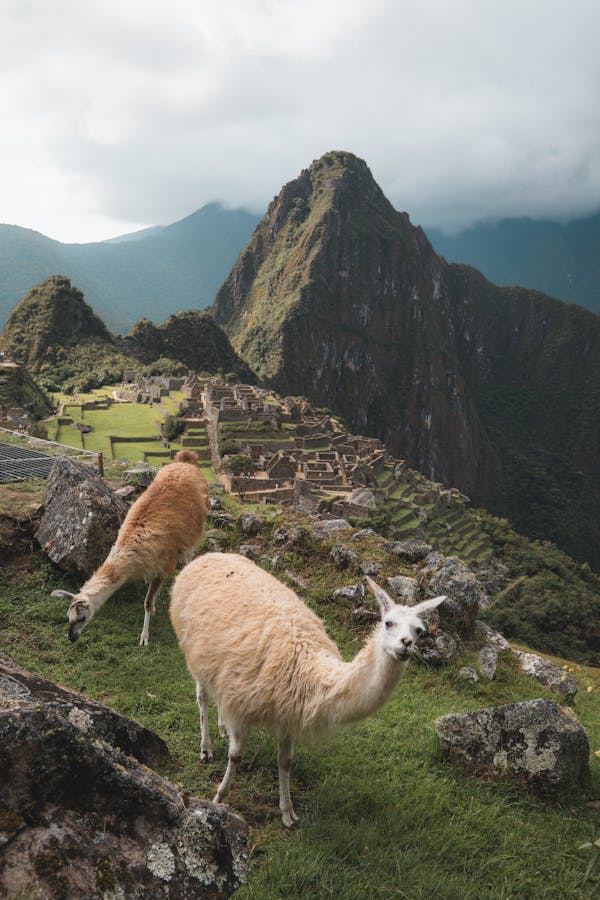 Quiz despre Cusco, Peru: C pentru mult timp despre acest lucru sau despre un istoric?