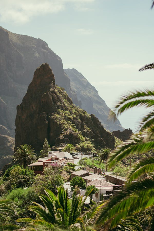 Test despre Tenerife: Cât de mult știi despre această insulă spaniolă?