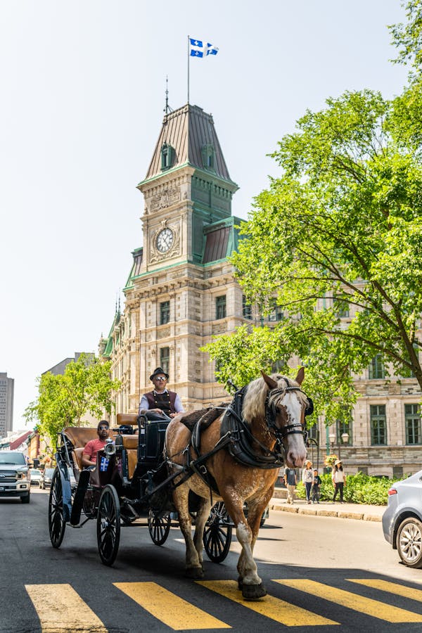 Quiz despre Quebec City: C pentru mult timp despre capitala Canadei?